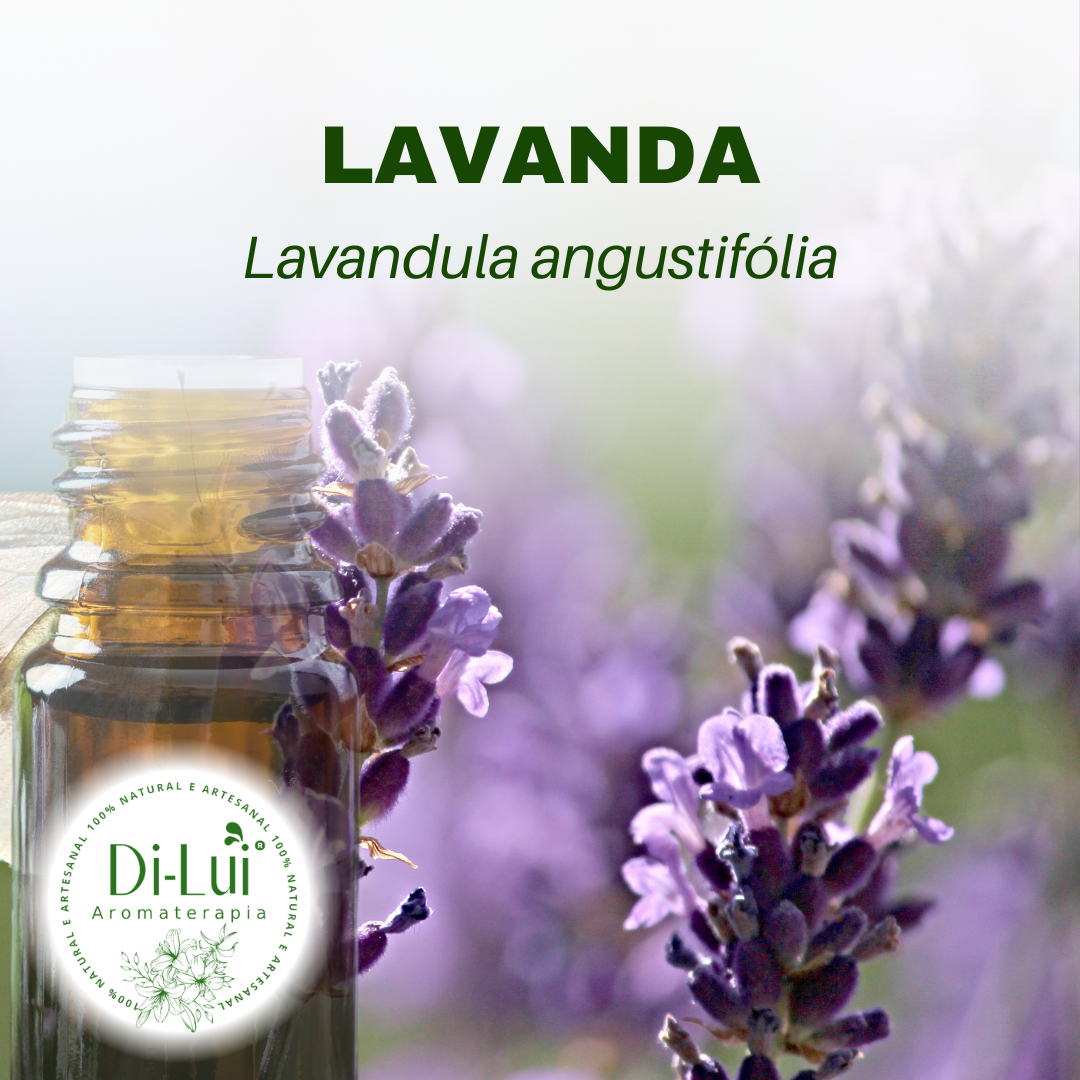 lavanda para cólica menstrual
