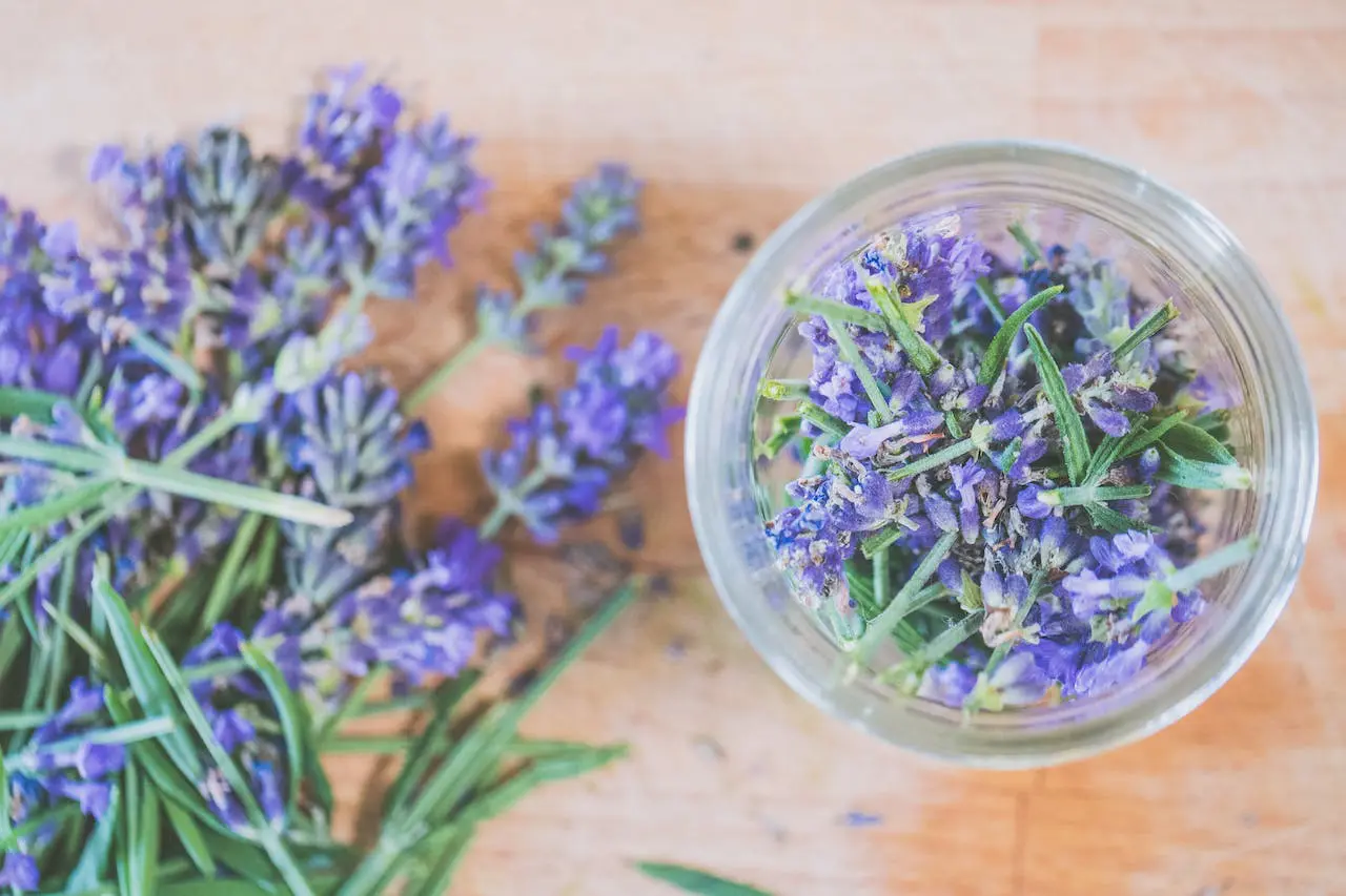 aplicações pele óleo lavanda