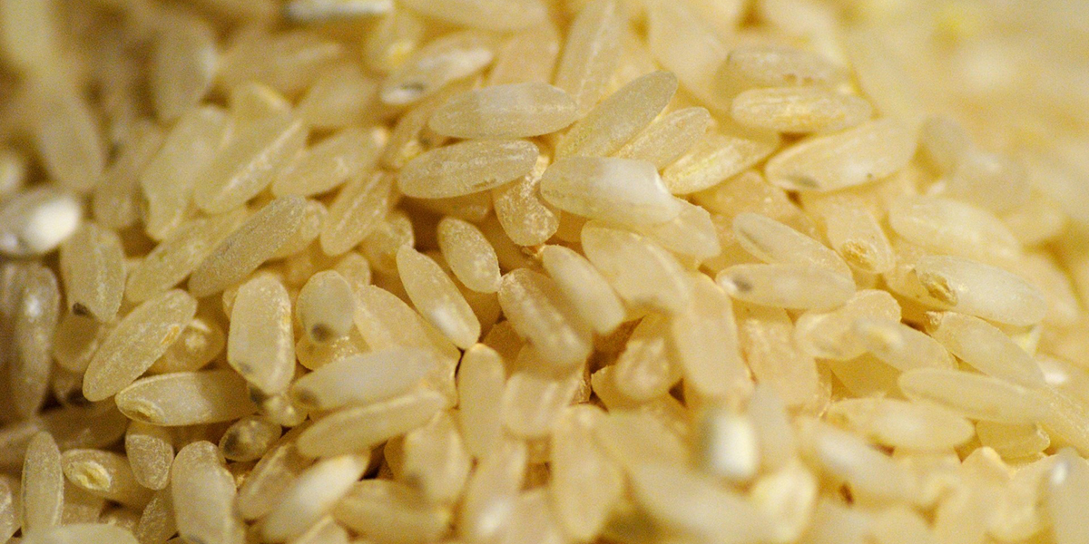 arroz integral benefícios