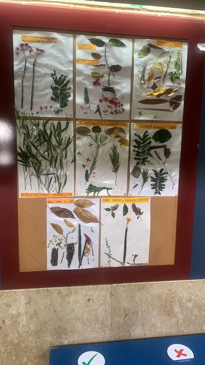 o que é arte com elementos da natureza