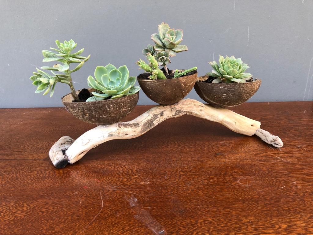 como fazer artesanato com casca de coco passo a passo