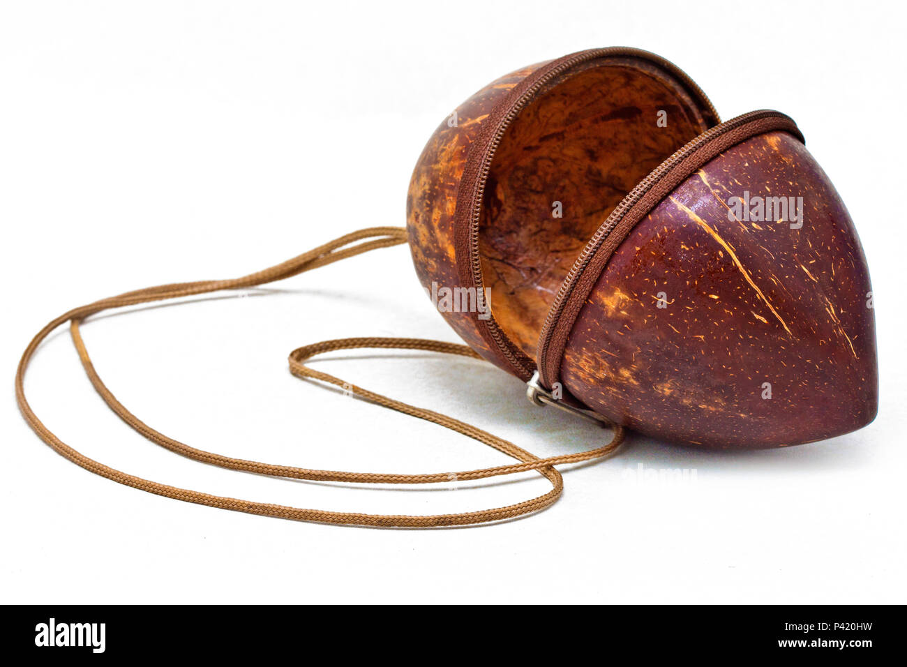 artesanato com cocos secos