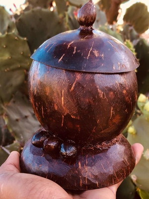 artesanato com cocos secos