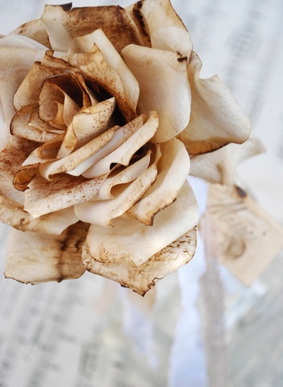 artesanato com filtros de café usados