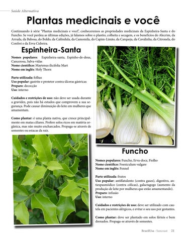 ervas para chás e remédios naturais