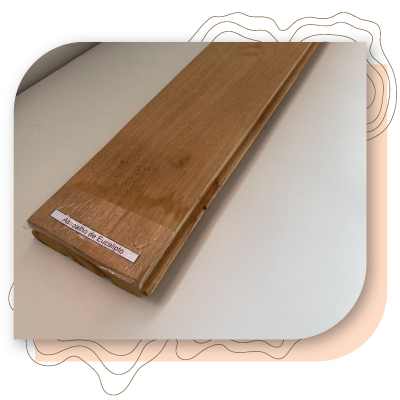 Assoalho de Eucalipto Tratado: Durabilidade e Manutenção para 40 Anos de Uso