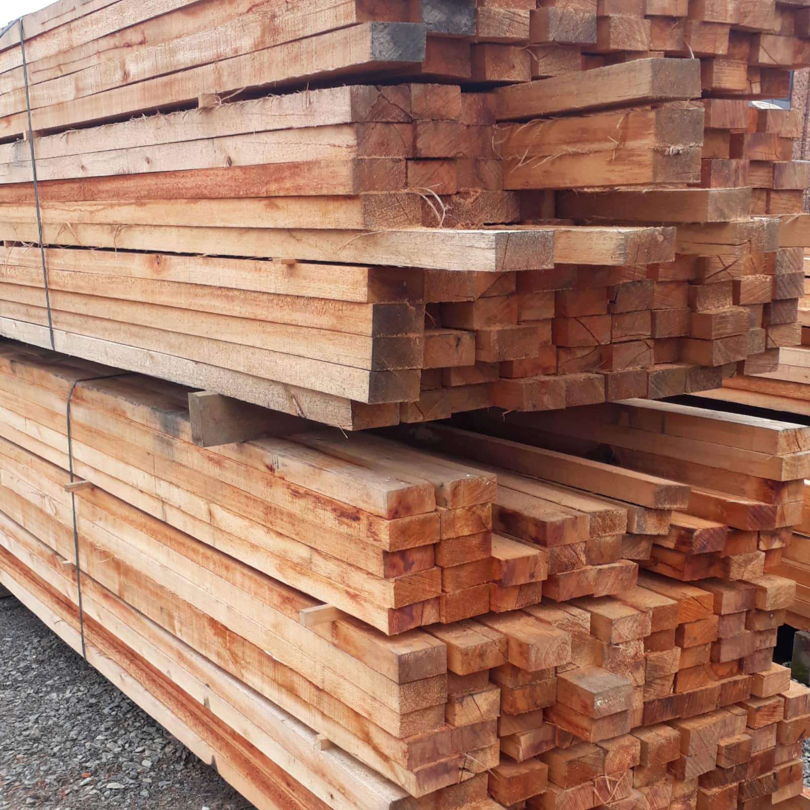 Eucalipto Rosa: Por Que é a Escolha Ideal para Resistência e Beleza