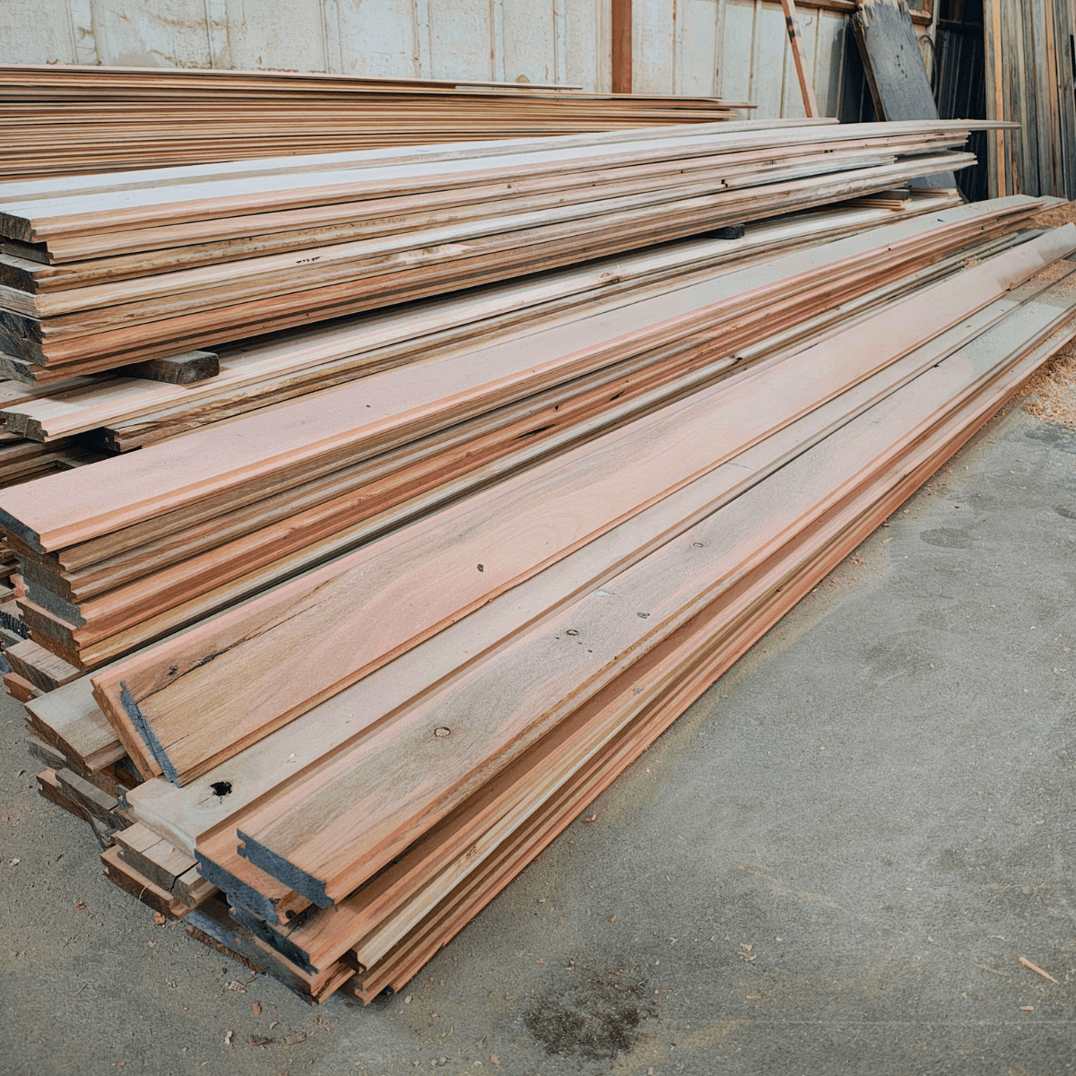 Guia Completo: Como Escolher o Melhor Assoalho de Eucalipto para Sua Casa