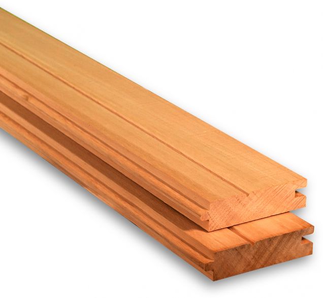 Desvantagens e Cuidados Essenciais