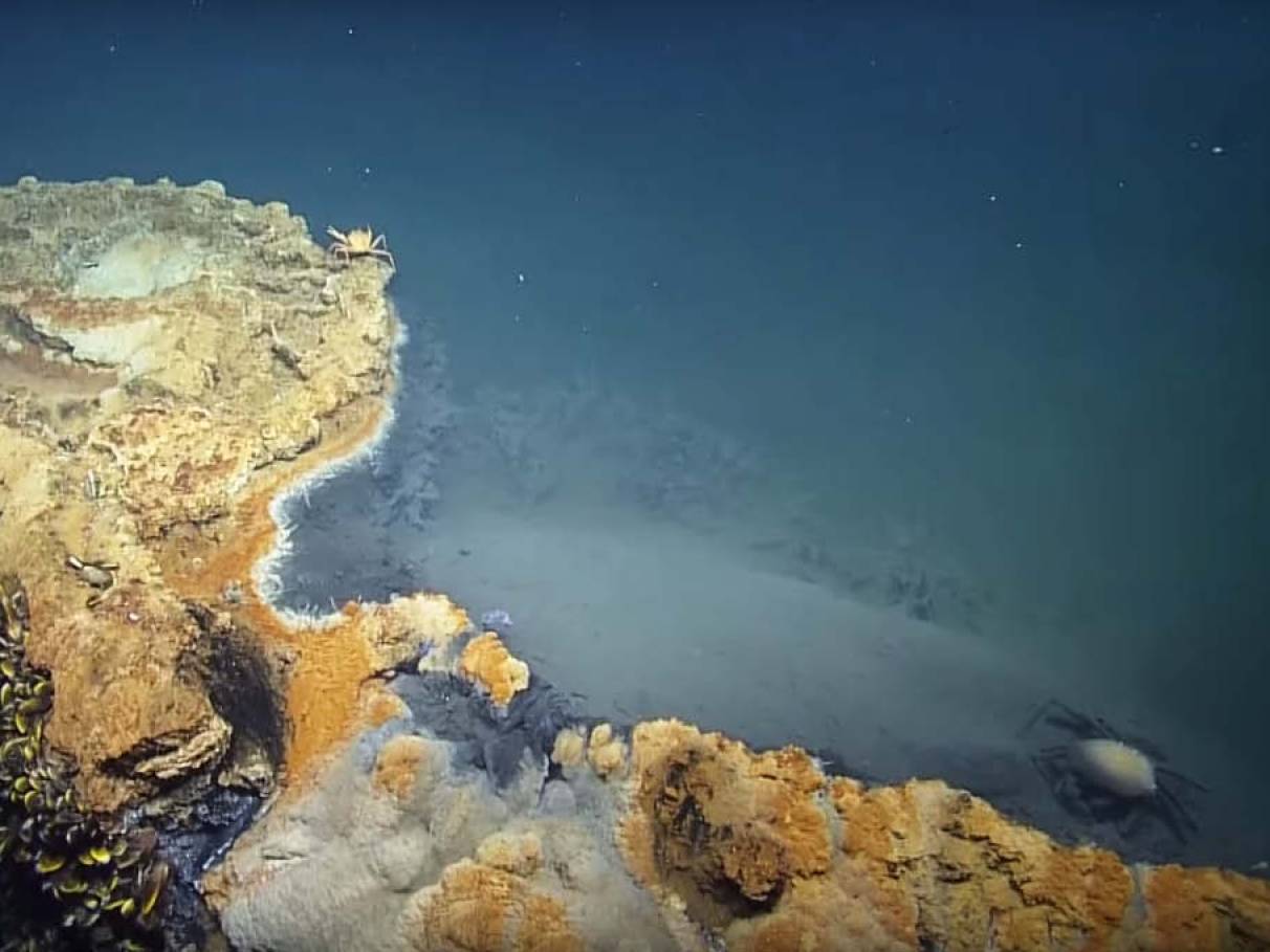 preservação de estruturas marítimas