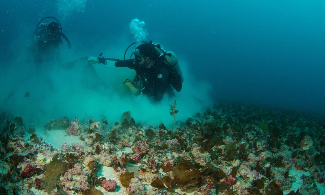 manutenção de barcos em ambiente marinho