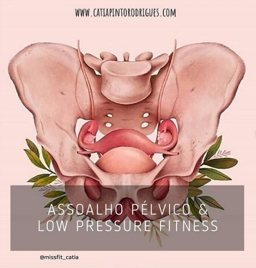 Serviços de Instalação de Decks e Forros Ripados em Indaiatuba