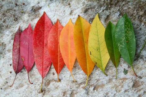 saúde preventiva no outono