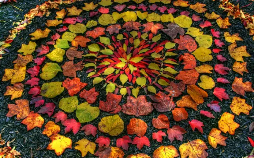 dicas de autocuidado para o outono