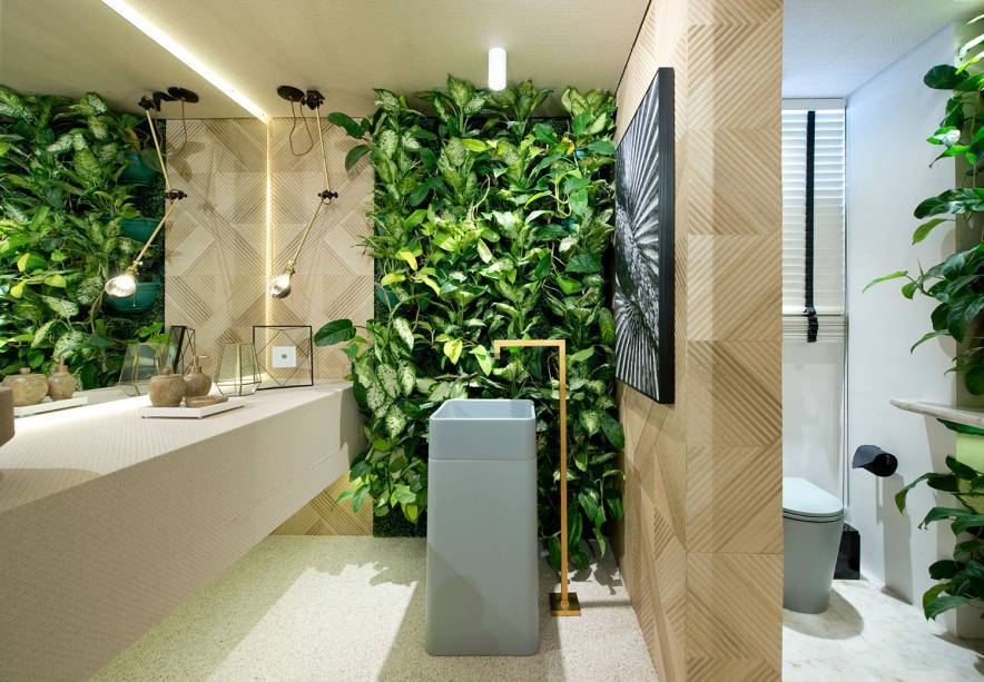 plantas para banheiro com pouca luz