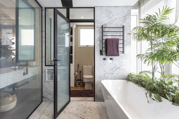 plantas para banheiro com pouca luz