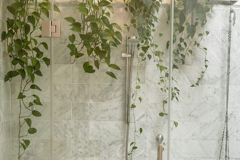 Jardim Vertical Artificial vs. Natural: Qual a Melhor Opção para seu Banheiro?