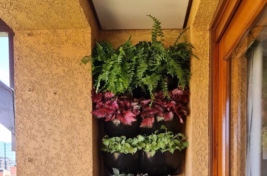 banheiro com jardim vertical 2