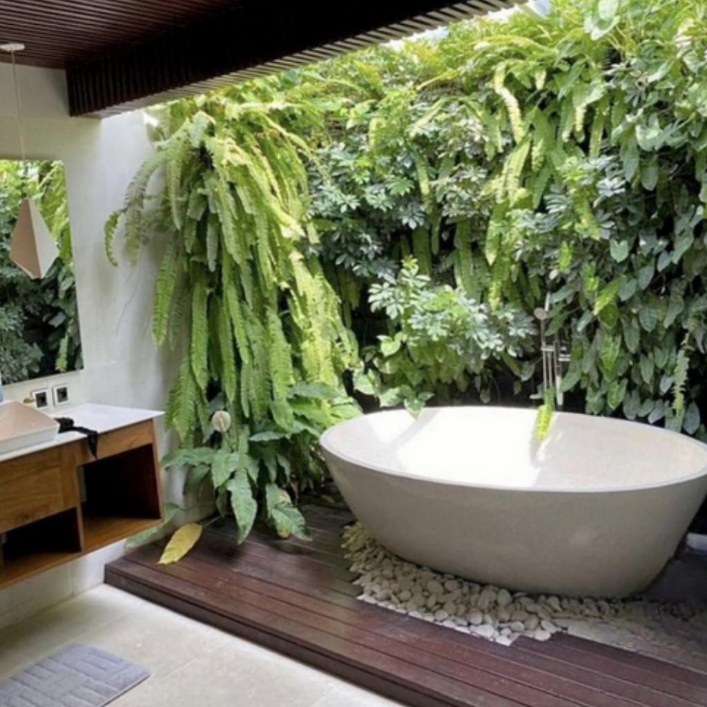 Jardim Vertical no Banheiro: Natural