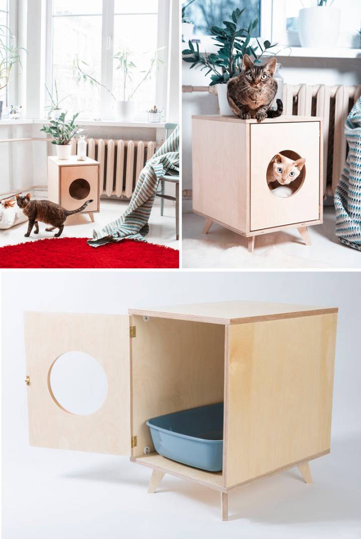 gato não usa caixa de areia o que fazer