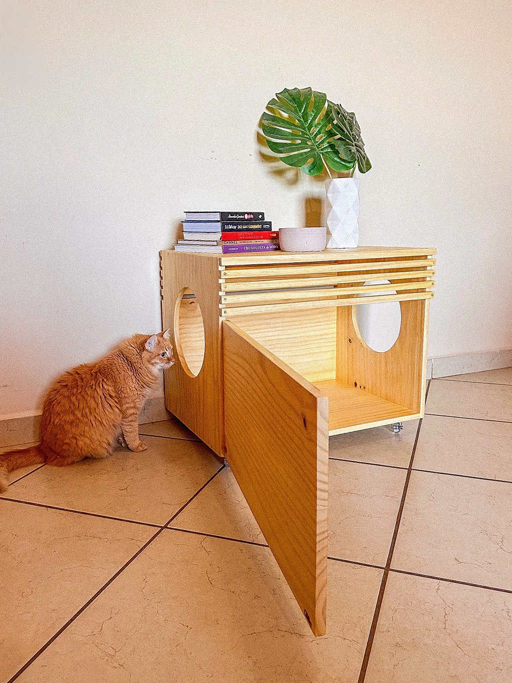 banheiro de gato fechado ou aberto qual o melhor