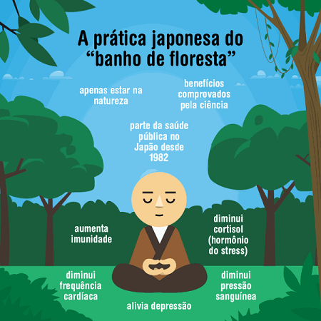 Os Benefícios Científicos do Banho de Floresta para Redução do Estresse
