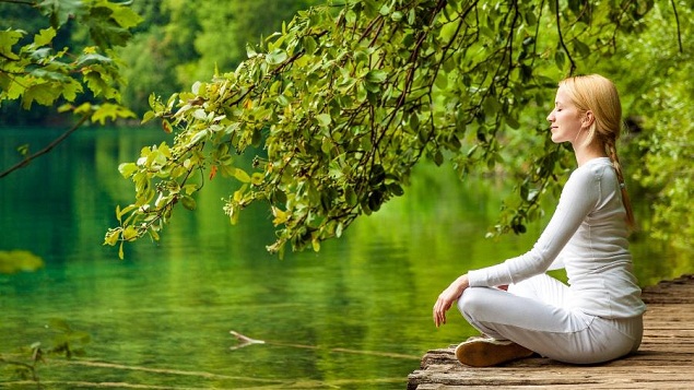 Guia Completo: Como o Banho de Floresta Transforma Sua Saúde