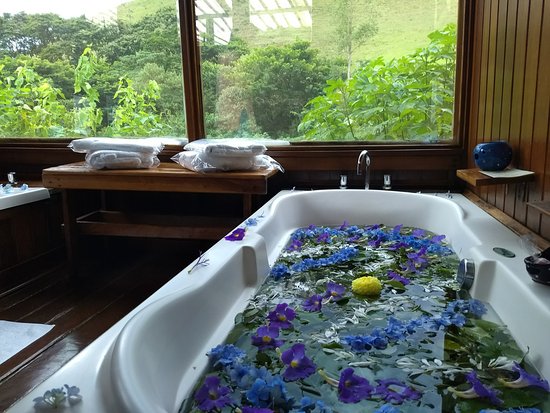 Benefícios terapêuticos dos banhos de ervas