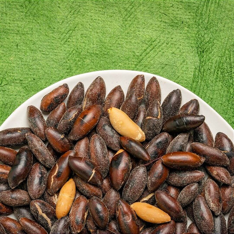 Desvendando o Baru: Da Árvore ao Superalimento do Cerrado