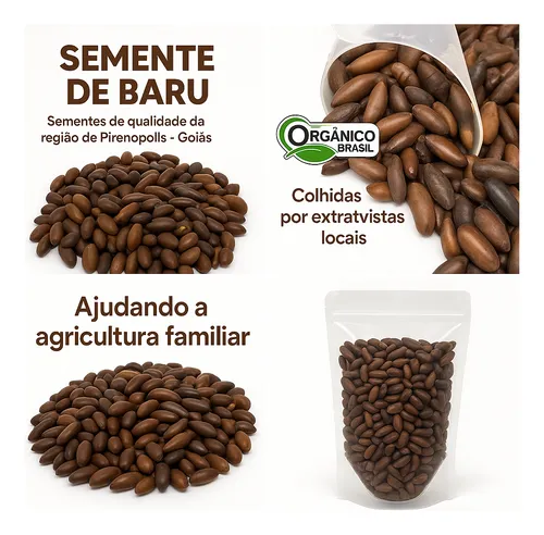 Guia Completo: Como Incluir a Castanha de Baru na Sua Dieta Diária