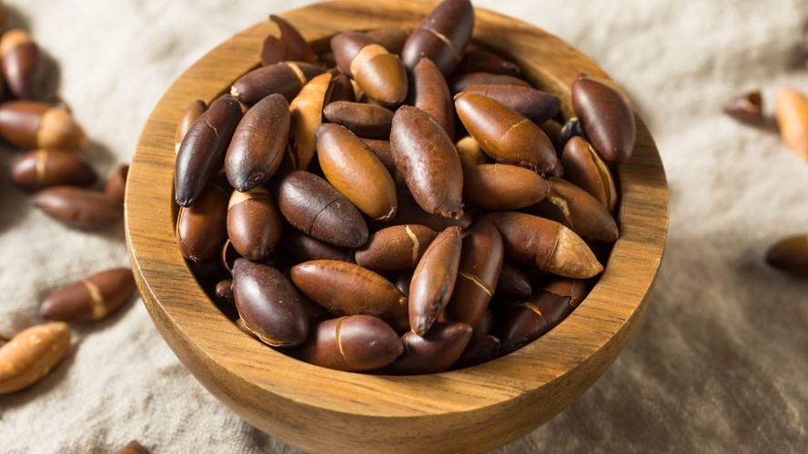 Baru vs. Outras Castanhas: Qual a Mais Nutritiva?