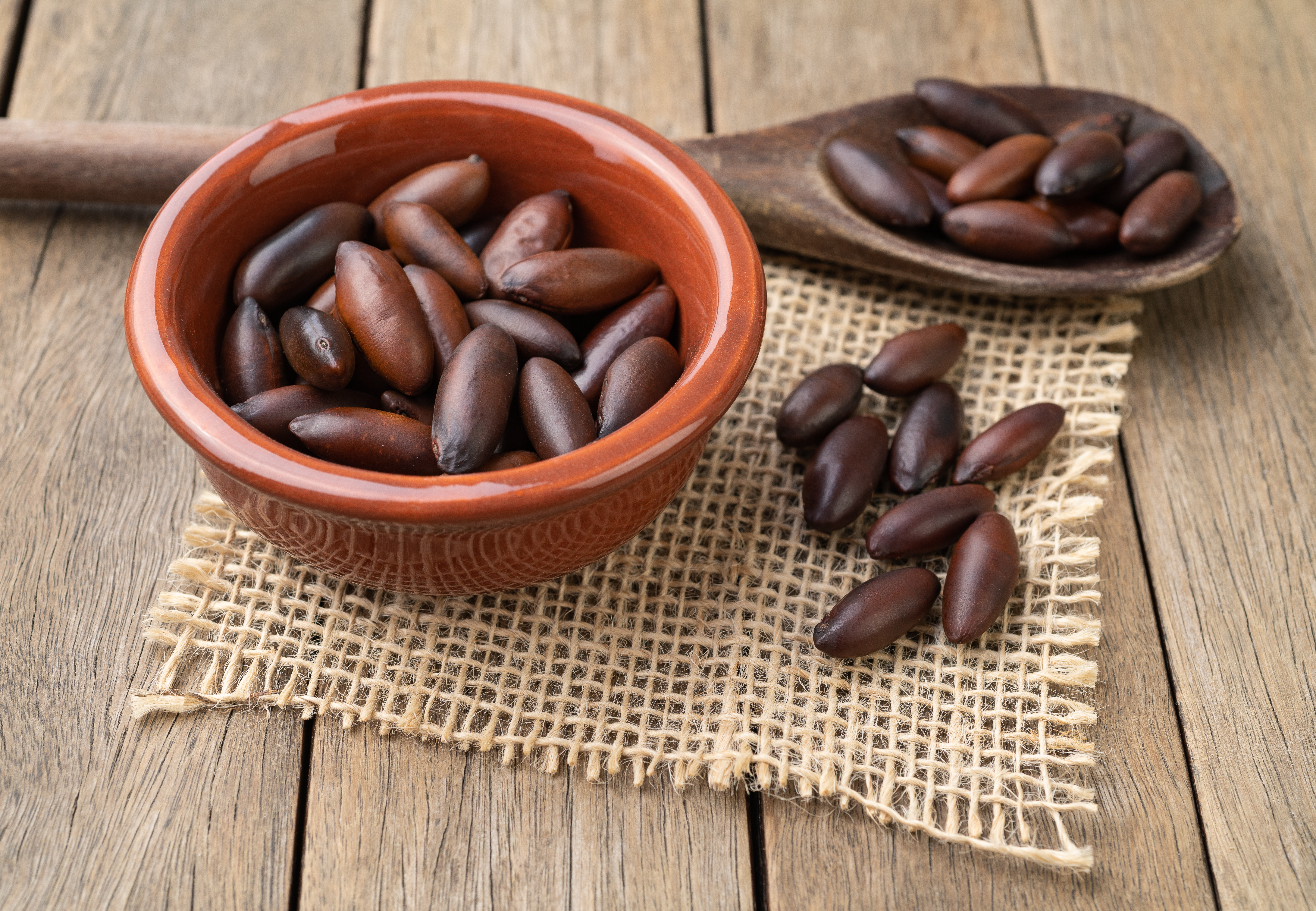 O Baru como Aliado da Saúde Cardiovascular: Estudos e Benefícios