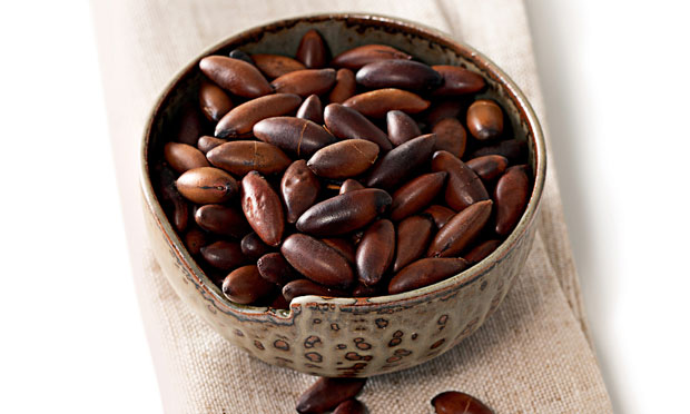 Baru vs. Outras Castanhas: Qual a Mais Nutritiva?