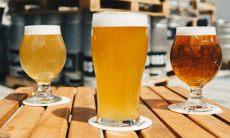 Guia Completo: Como Fazer Kombucha Caseira Passo a Passo