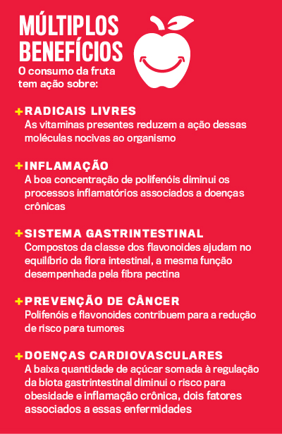 Maçã Gala vs. Maçã Verde: Qual a melhor para sua saúde?
