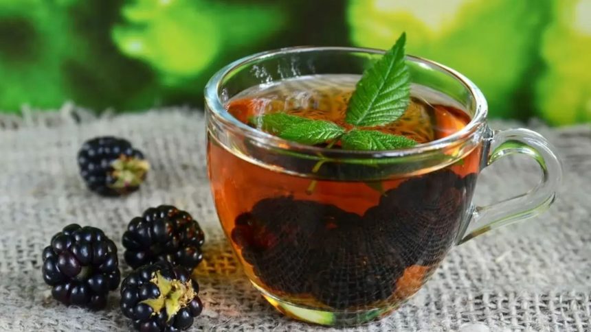 Chá de Amora na Menopausa: Mitos e Verdades sobre os Fitoestrógenos