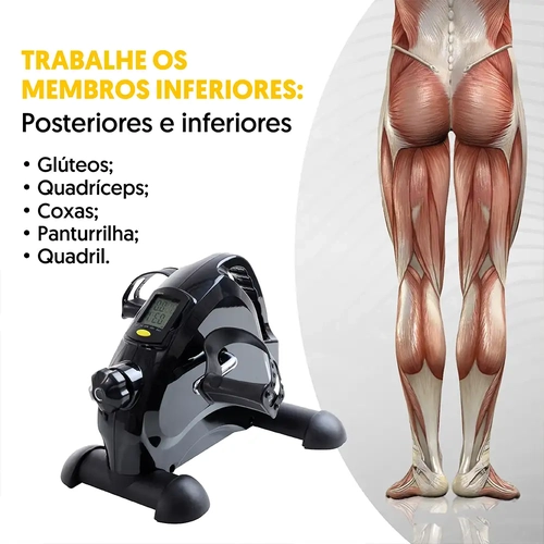 bicicleta ergometrica quais beneficios