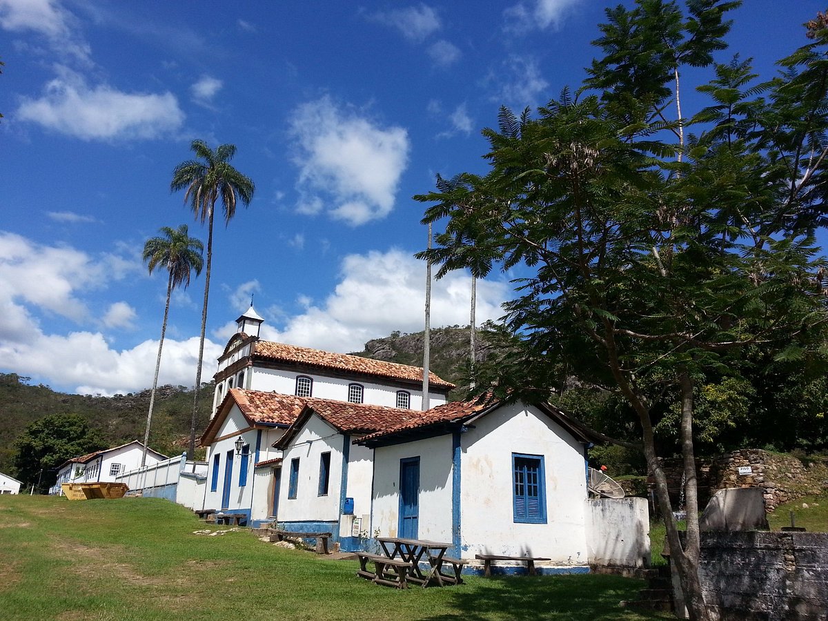 Biribiri: Conheça a Fruta Ácida e Seus Usos na Culinária Brasileira