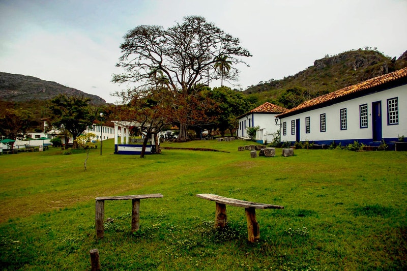 Biribiri: Conheça a Fruta Ácida e Seus Usos na Culinária Brasileira