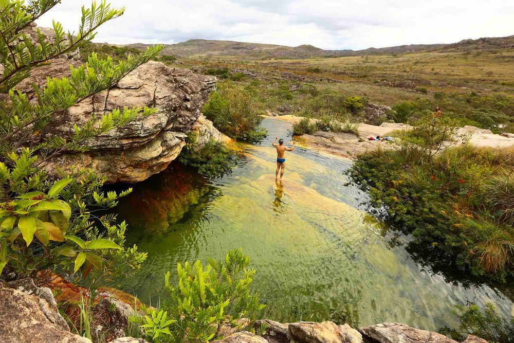 Biribiri para a Saúde: Benefícios e Cuidados Essenciais com o Consumo