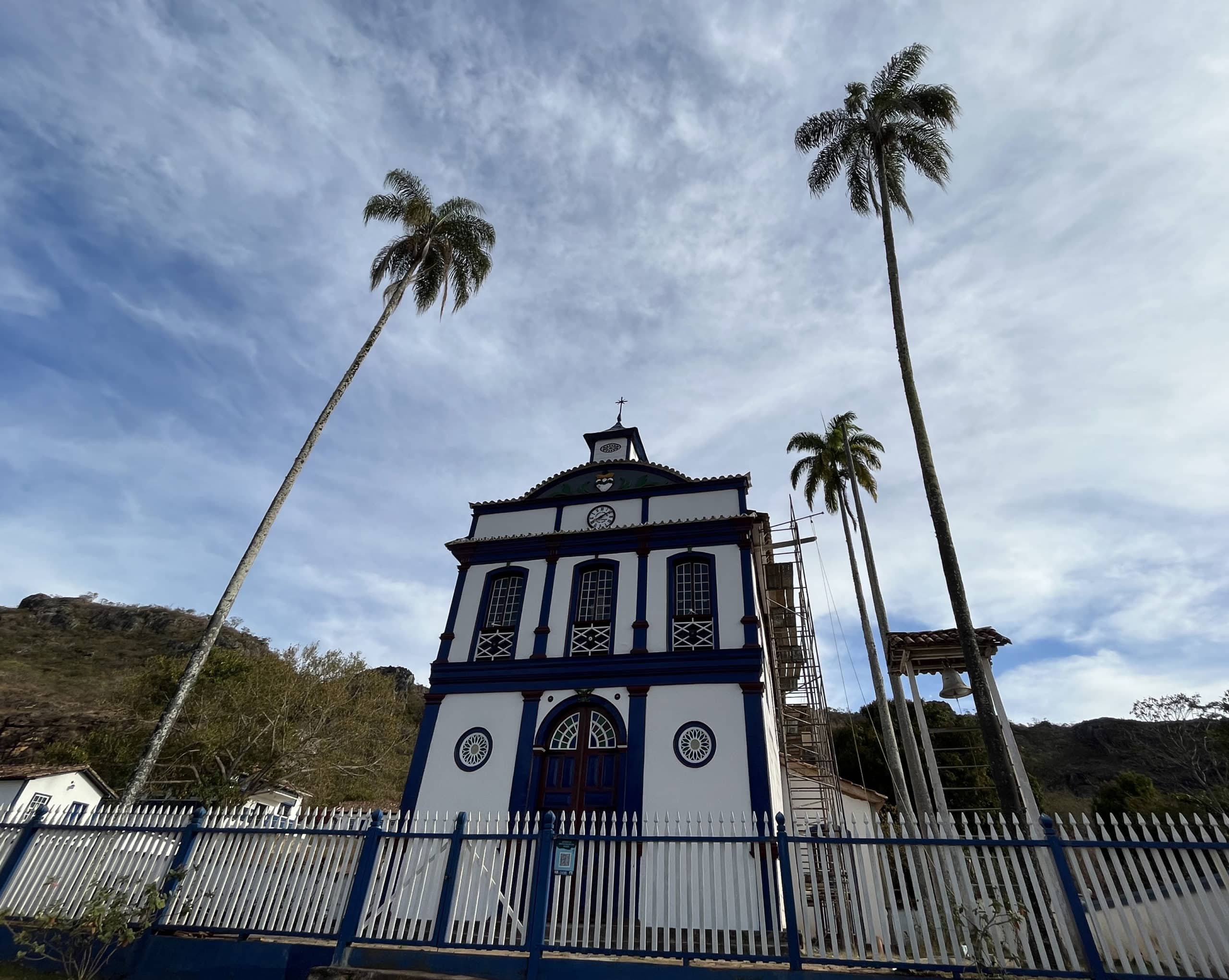 Biribiri: Conheça a Fruta Ácida e Seus Usos na Culinária Brasileira