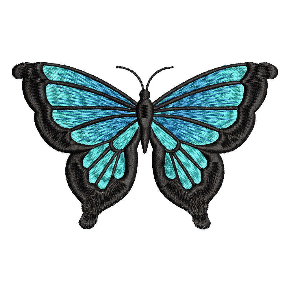 borboleta azul e preta