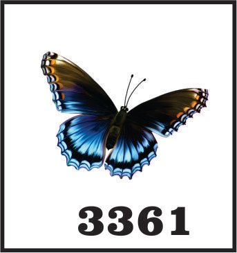 borboleta azul e preta