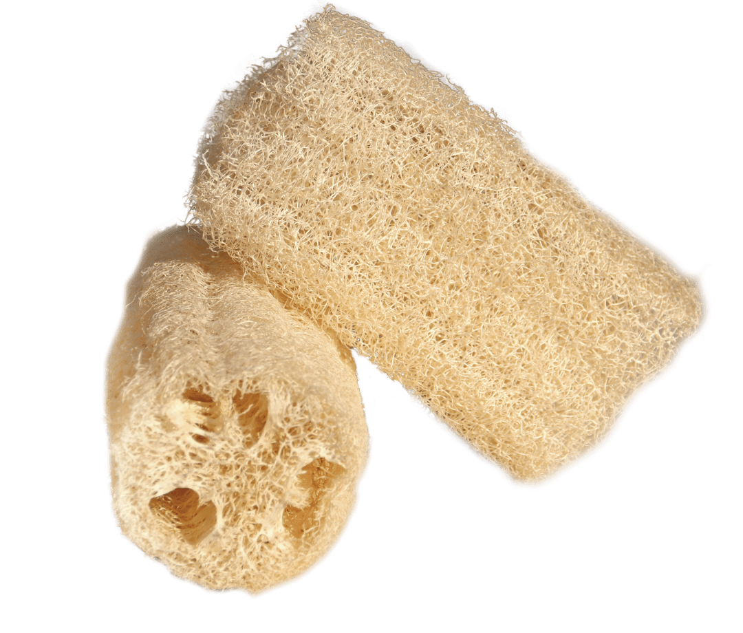 Receitas Caseiras com Bucha Vegetal: Esfoliantes e Dicas de Limpeza