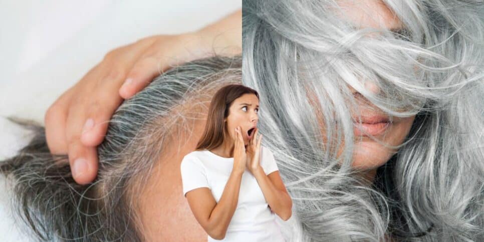 Hidratação para cabelos brancos: Dicas para combater o frizz e o ressecamento