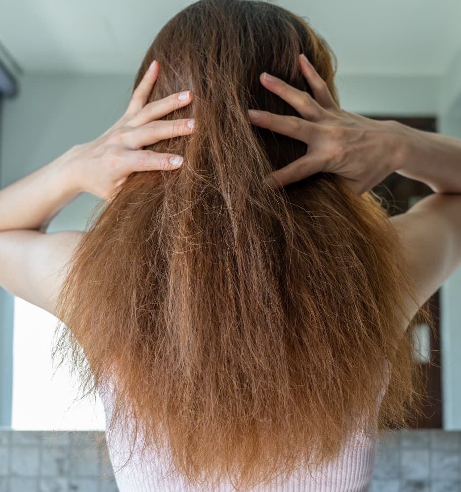 óleos vegetais para cabelo seco