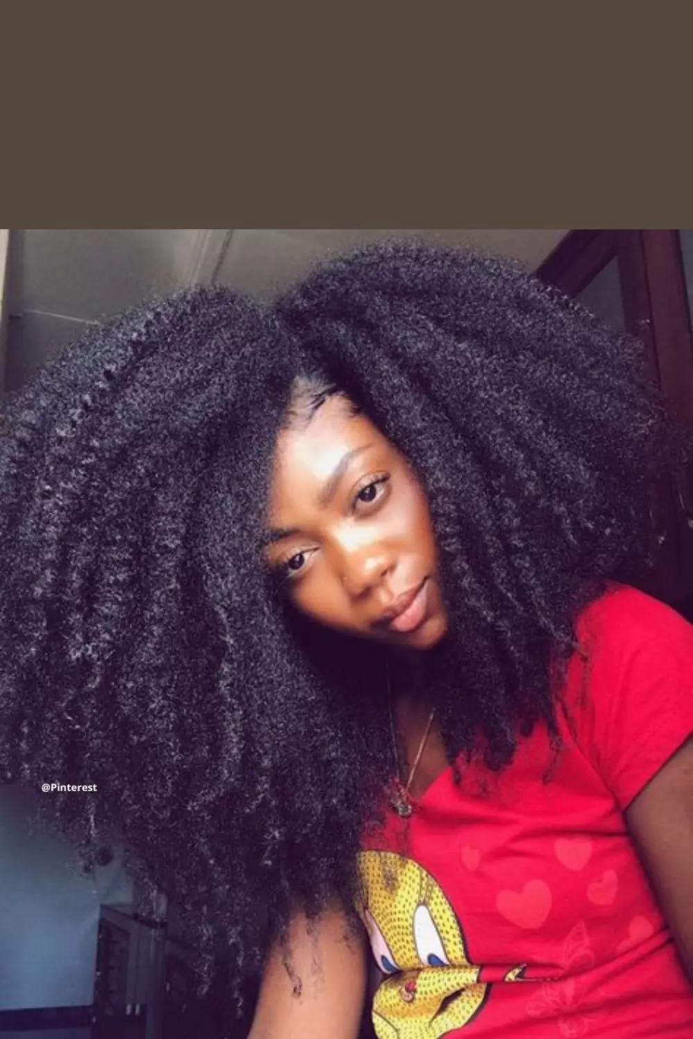 Penteados de Proteção: Tranças e Twists para o Projeto Rapunzel Crespo