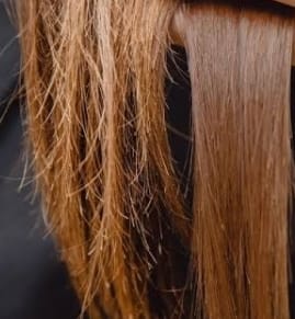 tratamento caseiro para cabelos secos e quebradiços