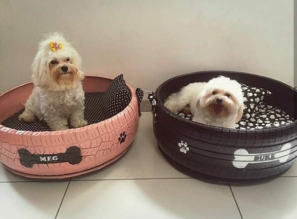 cama de pneu para cachorro