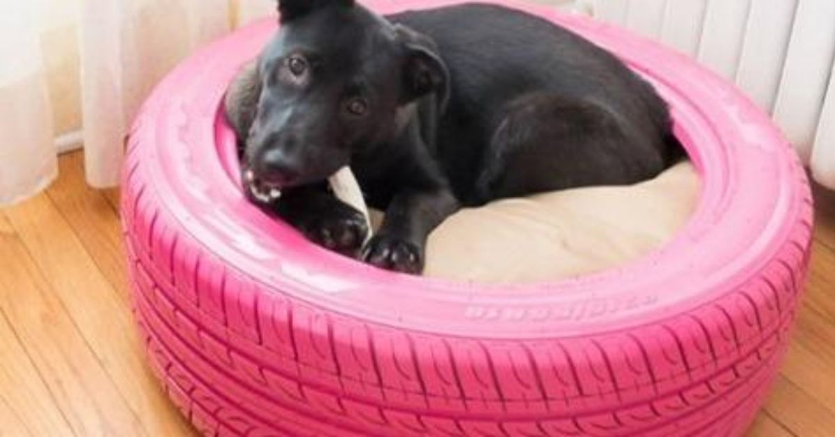 Comparativo: Camas de Pneu Artesanais vs. Compradas Online